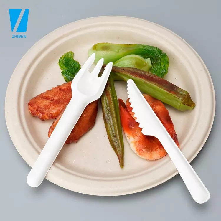 Cutlery-Bagasse-ZhibenGroup.com