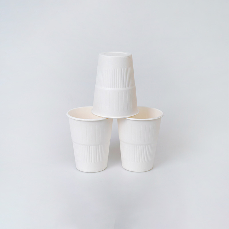 ស្ករ Bagasse ជីកំប៉ុស 12oz Cup ជាមួយលំនាំបញ្ឈរ (4)