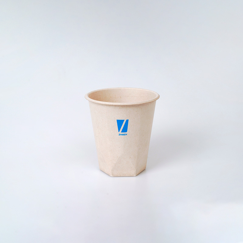 Compostable Biodegradable Bagasse tubo Diamond Bottom Cup (1)