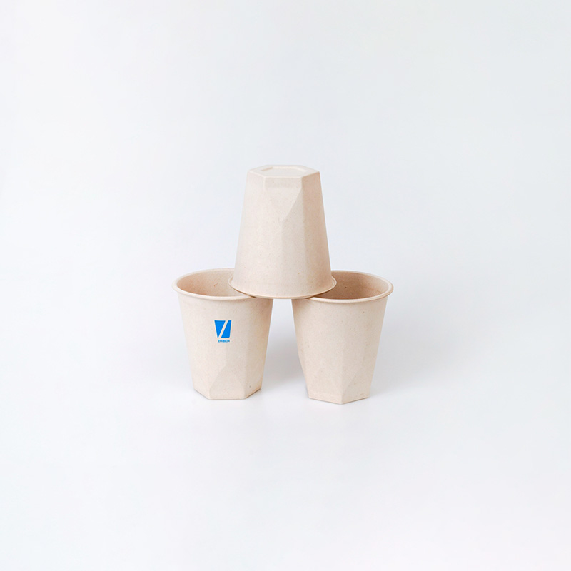 Compostable Biodegradable Bagasse tubo Diamond Bottom Cup (5)