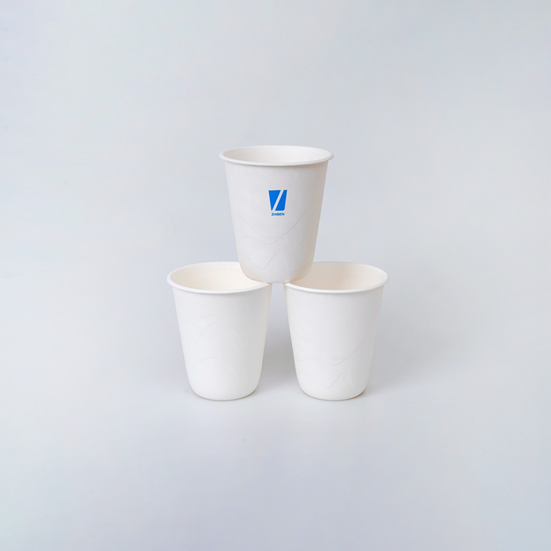 Compostable Biodegradable Bagasse tubo Stylish Stripes Cup (5)
